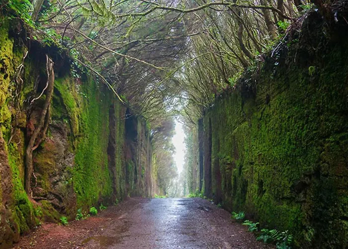 Casita Lofe Διαμέρισμα *